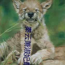 秦(秦)云萧(蕭)淑(淑)妃最新章节