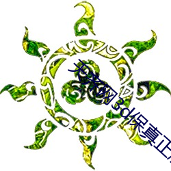 天齐网3d保真正版藏机图