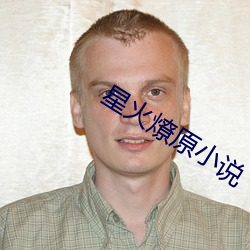 星火(火)燎(燎)原小说(說)
