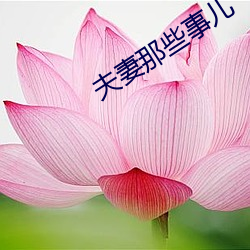 夫妻那些事儿