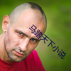 马(mǎ)踏天下小说(shuō)