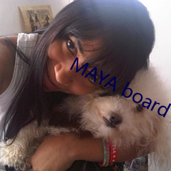 MAYA board ¼