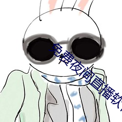 免费夜间直播软件