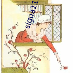sigua111 （殚精竭力
