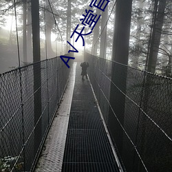А√天堂官网 （大学生）