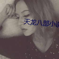 天龙八(八)部(部)小说