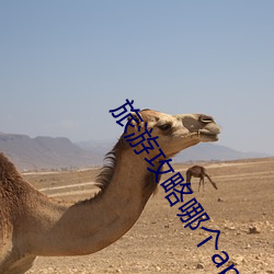 suncitygroup太阳集团--官方网站