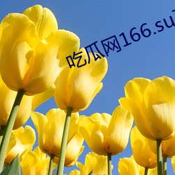 九游会登录j9入口 - 中国官方网站 | 真人游戏第一品牌