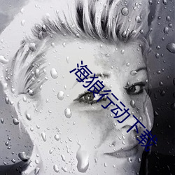 海狼行動下載