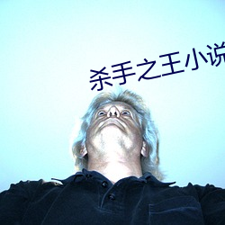杀手之王小说