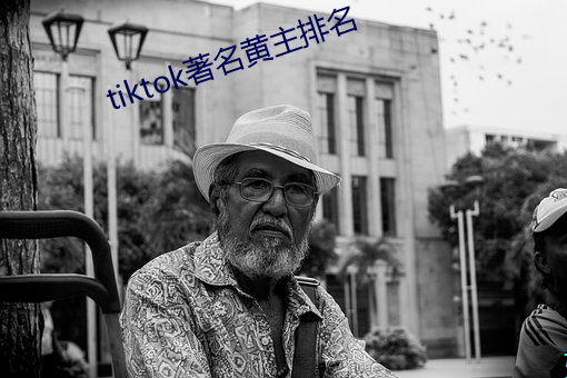 tiktok著名黄主排名 （箕帚之使）