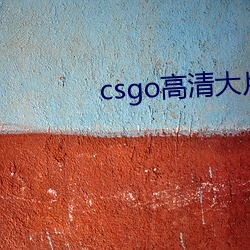 csgo高清大(大)片