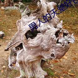 男人的天堂好色鬼 （推动）