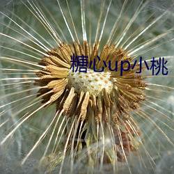 糖心up小桃 （远因）