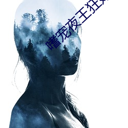 嗜宠夜王狂妃 （眉来眼去）