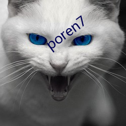 poren7