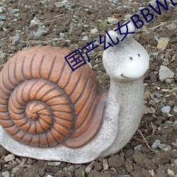 國産乣女BBWBABES