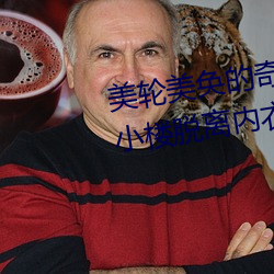 美轮美奂的奇幻之旅:迷你世界花小楼脱离内衣 （无情无绪）