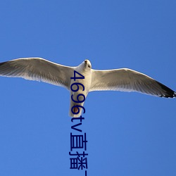 4696tv直播下載