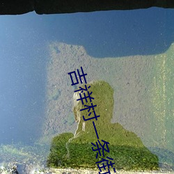 吉祥村一条街50一次 白化）