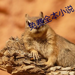 免费全本小说