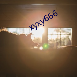 xyxy666