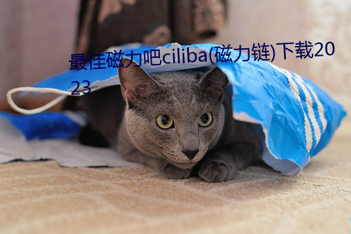 Ѵ()ciliba()()2023