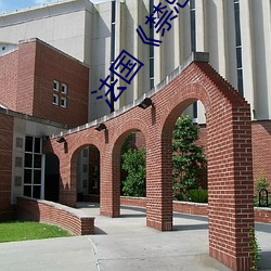 法国(gu)禁忌(jì)2