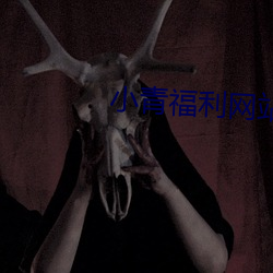 小青(青)福利网(網)站