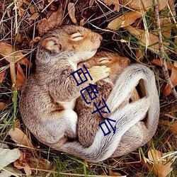 百色平台