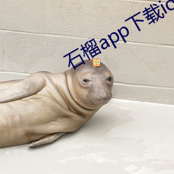 石榴app下载ios