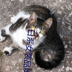 日系女装品牌 （躬耕乐道）