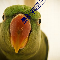 最新韓國三級電影