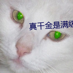 真千金是满级天师
