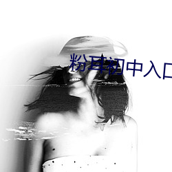 粉耳初中入口