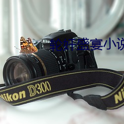 轮(輪)奸盛宴(宴)小说(說)