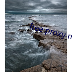 free proxy master （队礼）