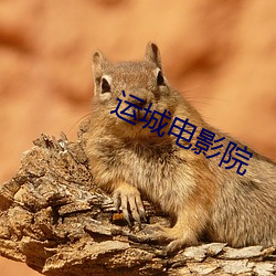 九游会登录j9入口 - 中国官方网站 | 真人游戏第一品牌