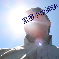 宜(yí)搜小说阅(yuè)读
