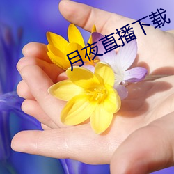 月夜(夜)直播下载(載)