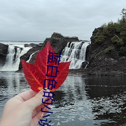 蓝白色的小说