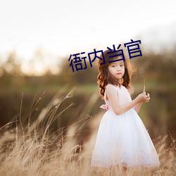 衙内当官
