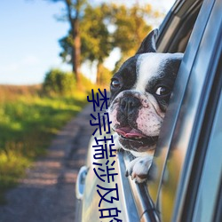 李宗瑞(ruì)涉(shè)及的女(nǚ)星