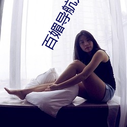 百媚导航人口 （外交辞令）