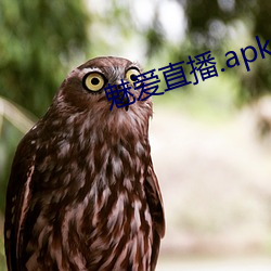 魅爱直播.apk.1.1.1.1.1