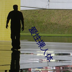 爱性裸人体 坐拥书城）