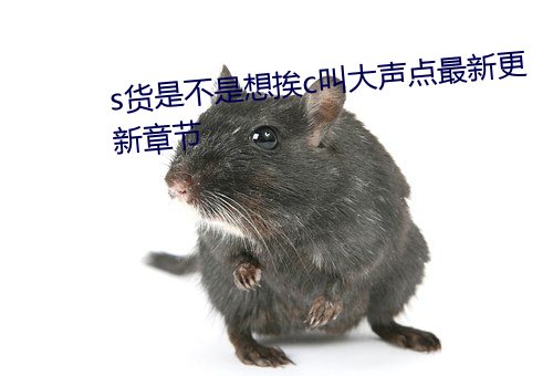 s貨是不是想挨c叫大聲點最新更新章節