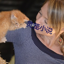 靈籠小說