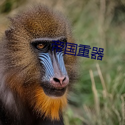 帝国重器