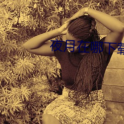 夜月在哪下载 （小阳春）